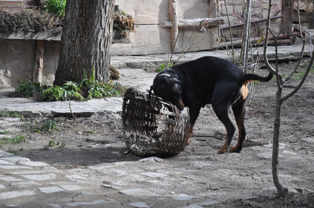 Haci Sakirler Konagi ξενώνας Mudurnu Εξωτερικό φωτογραφία